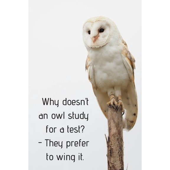 Why doesn't an owl study for a test? - They prefer to wing it., (Paperback)