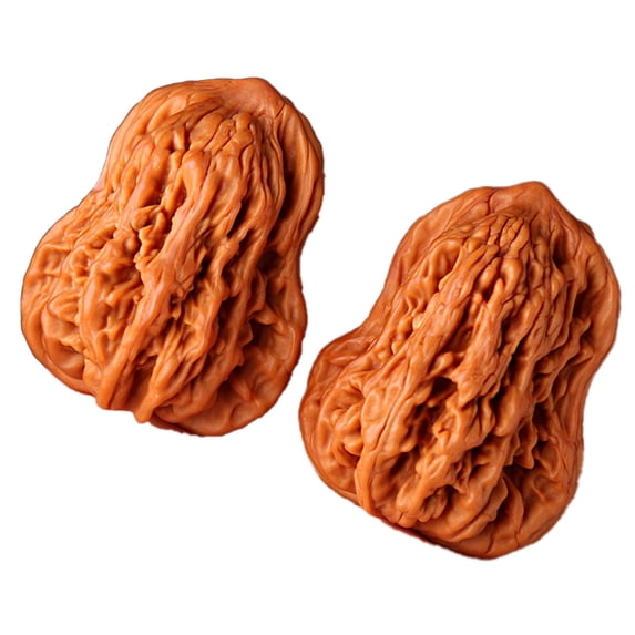 Whyan Natural Traditional Polished Chinese Wenwan Meditation Irregularly Shaped Walnuts Fidget for Hand Training Exercise Massage Stress Balls (2pcs)