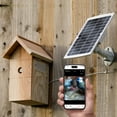 thumbnail image 1 of WiFi Battery Bird House Camera with Solar Panel, 1 of 10