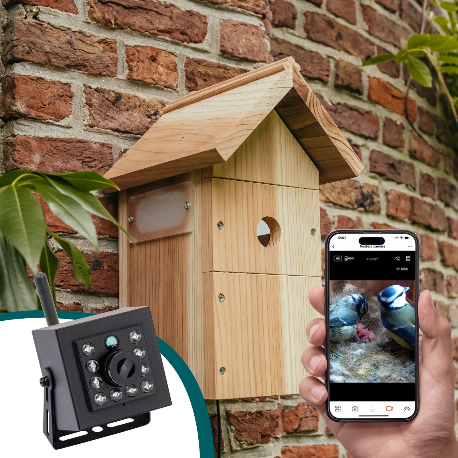 Cedar and Plastic Birdhouse with HD WiFi Camera
