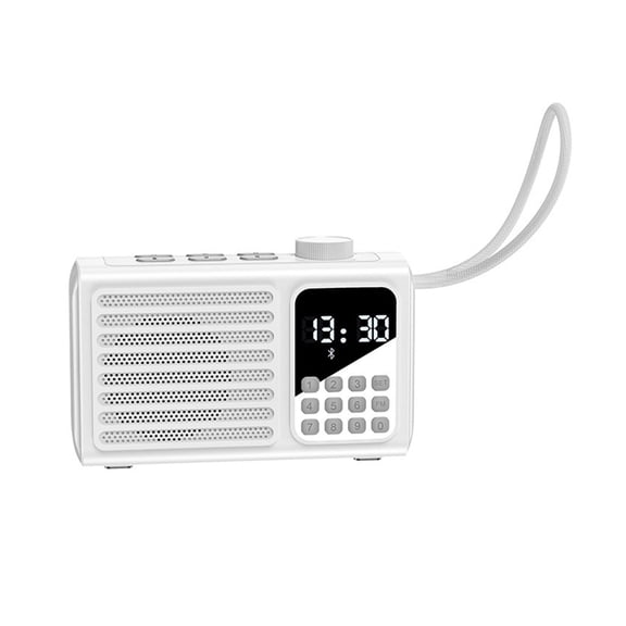 WiFi Internet Radio Bluetooth Speaker Portable Small Mini Walkman Player Card ,Bike Audio
