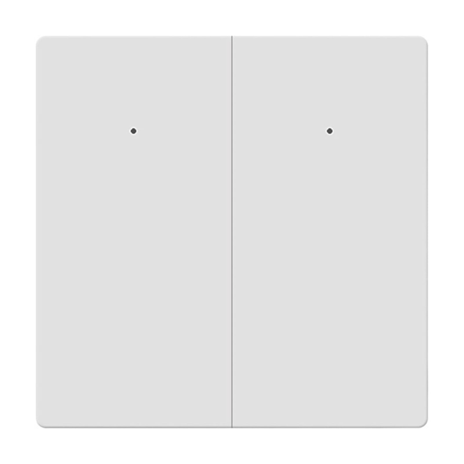 Interruptor de Pared WiFi Smart con Neutro, Push, Control por Voz, 1 2 3 Gangs, Fácil Instalación