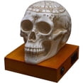 thumbnail image 1 of Wicca Astrology Zodiac Skull LED Night Light Statue With USB Charging Wood Base, 1 of 7