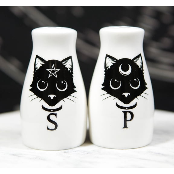 Wicca Magic Sacred Cats Pentacle Crescent Moon Ceramic Salt n Pepper Shakers Set