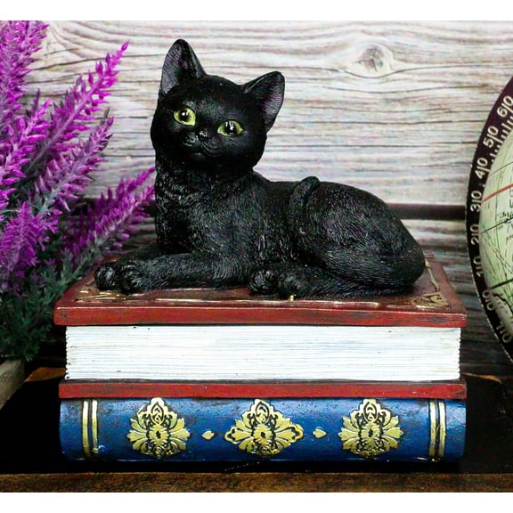 Wicca Mystical Black Cat Sitting On Book Of Spells Stack Decorative Jewelry Box