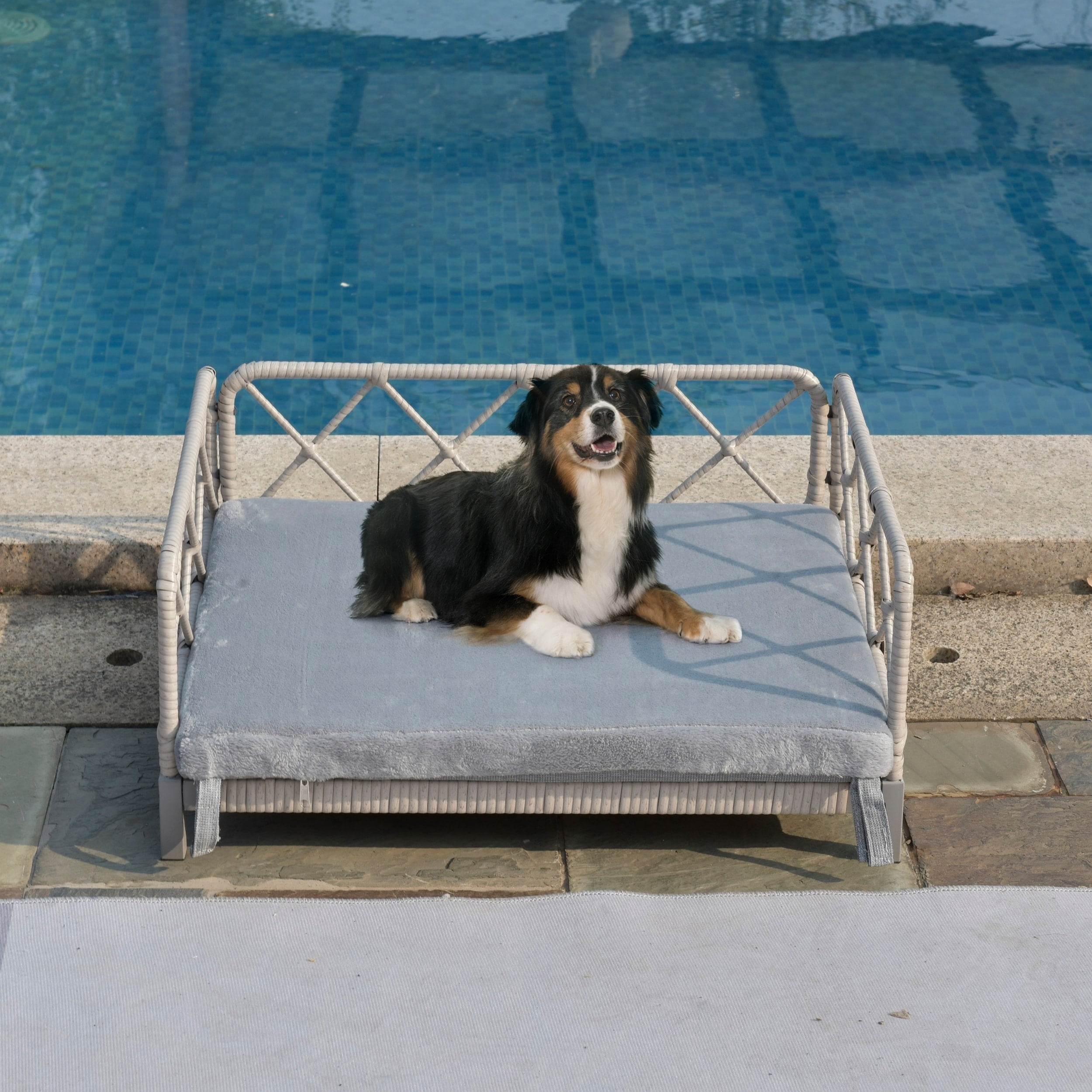 Gray Elevated Waterproof Rattan Orthopedic Pet Bed
