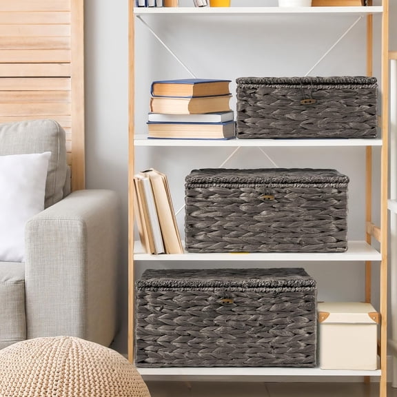 Wicker Storage Baskets with Lids and Handles