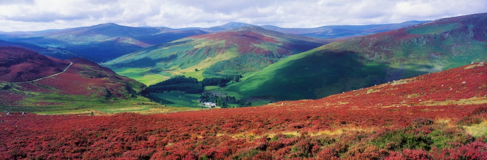 Wicklow Way Co Wicklow Ireland Long Distance Walking Trail Near Luggala Canvas Art - The Irish Image Collection Design Pics (34 x 11)