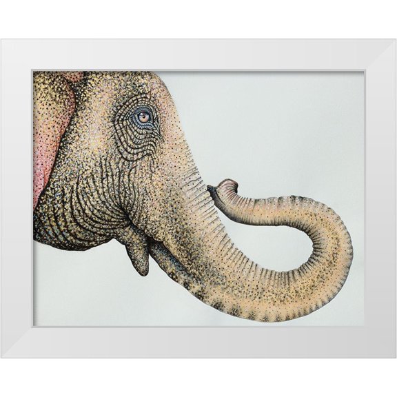 Wickstrom, Martin 14x12 White Modern Wood Framed Museum Art Print Titled - Spotted Asian Elephant 2
