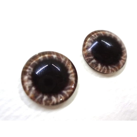 Wide Brown Round Glass Eyes