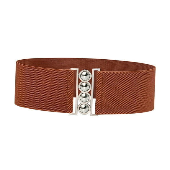 Wide Elastic Belt Female Simple Decoration Cinch Dress Belt for Women Ladies Brown