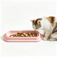 thumbnail image 1 of Wide Extended Pet Food Bowl, Ant‑Barrier No Spill Feeding Dish, Easy‑to‑Clean Large Capacity Plastic Feeder for Multi‑Cat & Multi‑Dog Home, 1 of 5