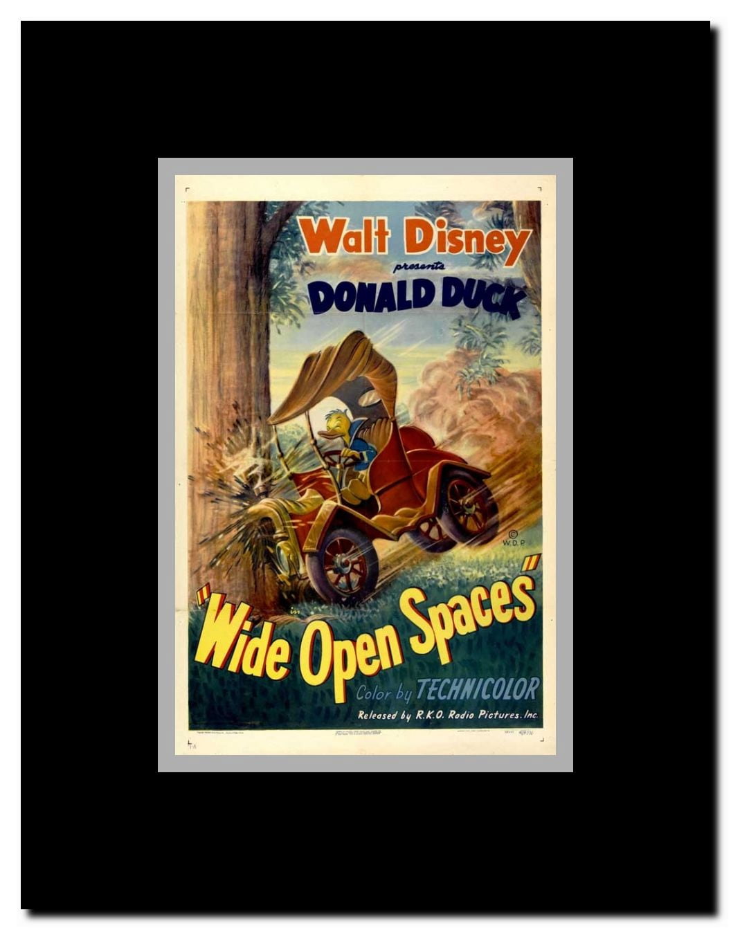 Wide Open Spaces Framed Movie Poster