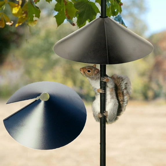 Wide Squirrel Protection for Bird Feeders – Anti-Rust Galvanized Steel Hangable Baffle, Protects Bird Houses from Squirrels, 18-Inch - Black