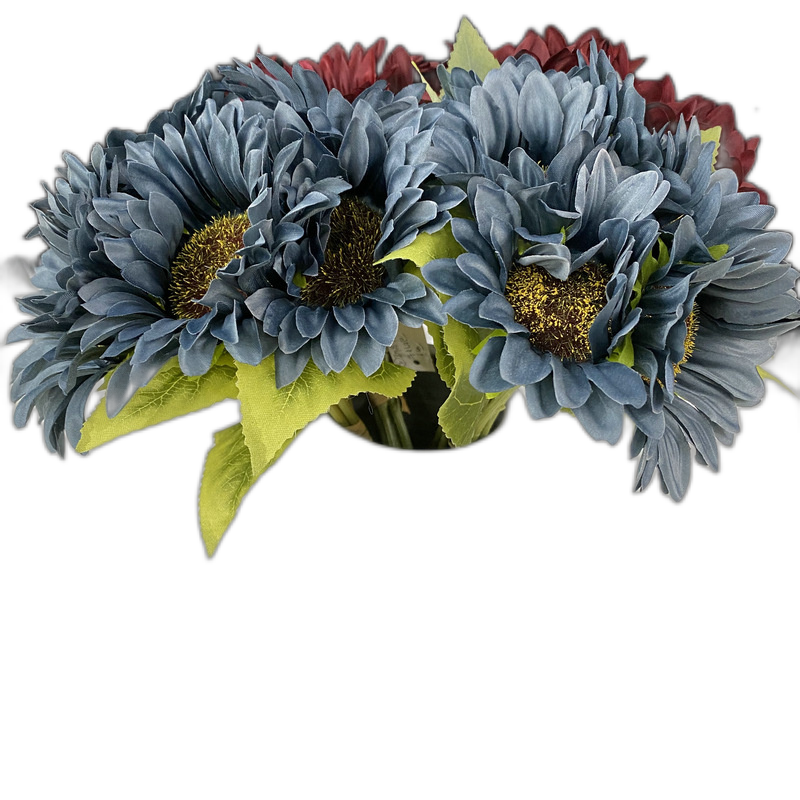 Wide petal and fine petals Sunflower Simulation Flower Flower Flower