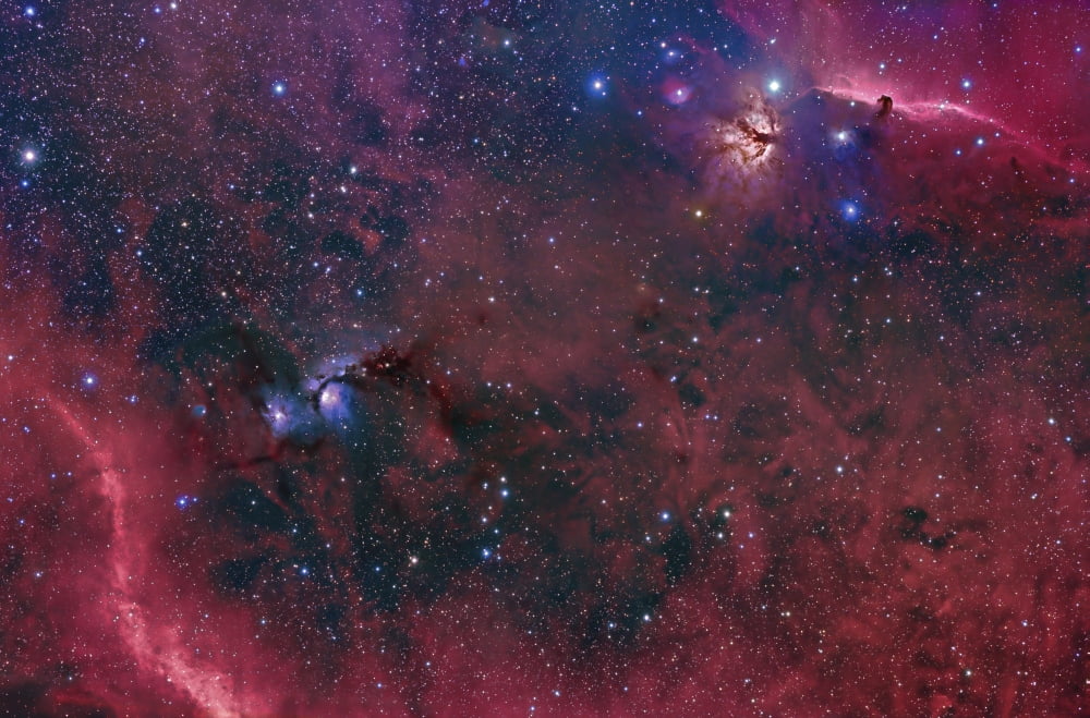 Widefield view in the Orion constellation Canvas Art - John DavisStocktrek Images (35 x 23)