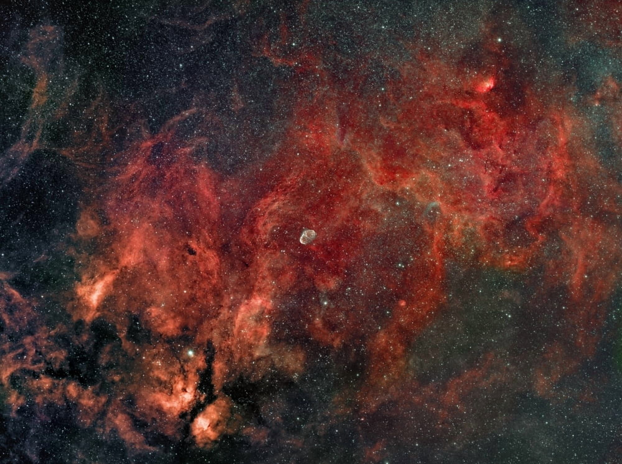 Widefield view of the Crescent Nebula Canvas Art - Rolf GeissingerStocktrek Images (33 x 24)
