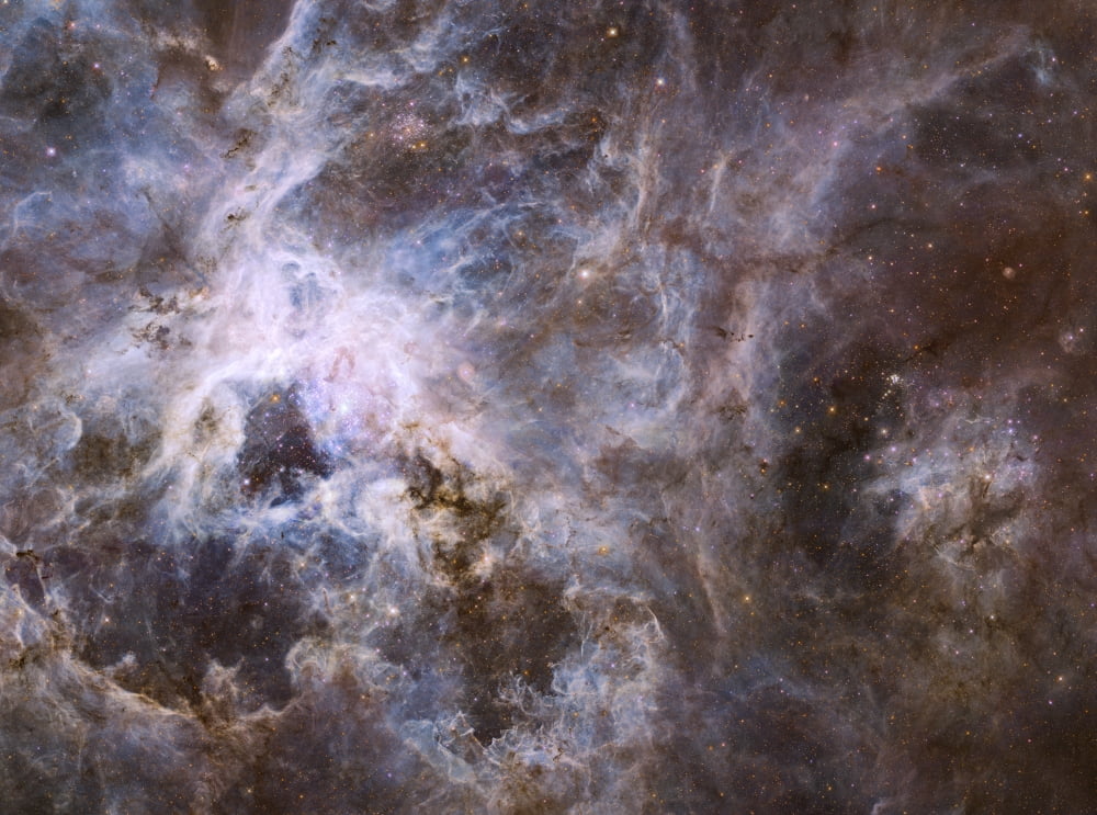 Widefield view of the Tarantula Nebula Canvas Art - Stocktrek Images (33 x 25)