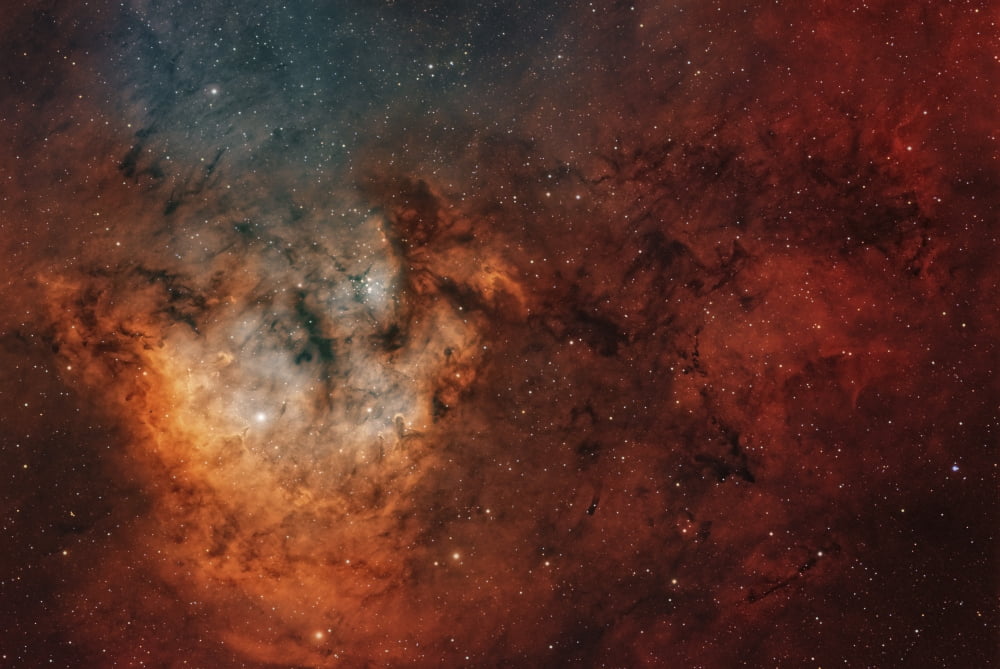 Widefield view of the young star-forming complex NGC 7822 Canvas Art - Rolf GeissingerStocktrek Images (17 x 12)