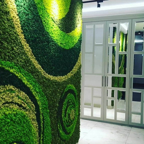 Widget,Party Festivals Indoor Decor Real Preserved Moss No Maintenance Wall Decor Real Wall Party Festivals Indoor Office Decoration Maintenance Required Preserved Festivals Indoor Office