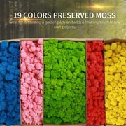Widget,Preserved Moss Festivals Indoor Office Moss No Maintenance Wall Decor Real Maintenance Required Preserved No Maintenance Required Indoor Office Decoration Wall Party Festivals Dsfen