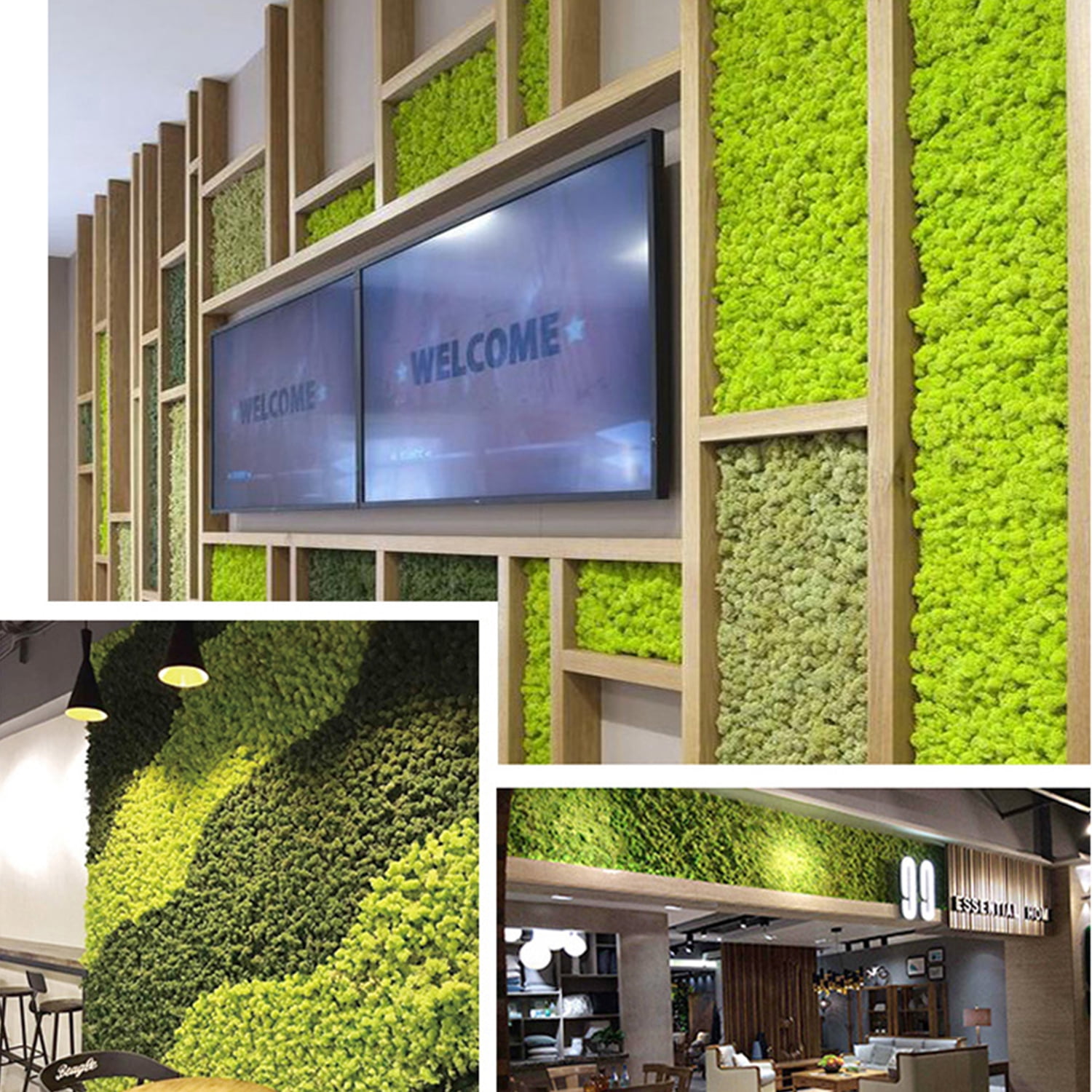 Widget,Wall Party Festivals Moss No Maintenance Decor Real Preserved No Maintenance Required Wall Decor Real Preserved Moss Indoor Office Decoration Maintenance Required Preserved Koeb