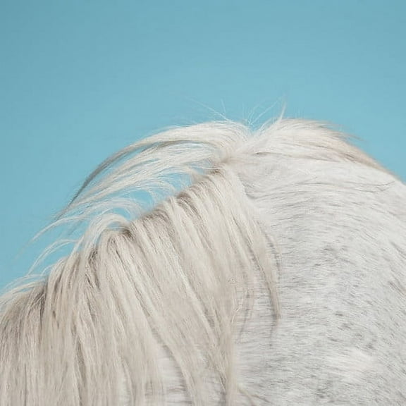Widowspeak - All Yours - Music & Performance - CD