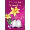 thumbnail image 1 of Wie Aus Dem Ei Gepellt: Wie aus dem Ei gepellt : Erzählungen, Märchen und Gedichte zur Osterzeit Band 6 (Series #6) (Paperback), 1 of 1