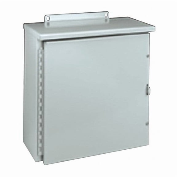 Padlockable Hasp Electrical Enclosures, 24 in H, 8 in D, 20 in W, 3R, Steel RHC242008