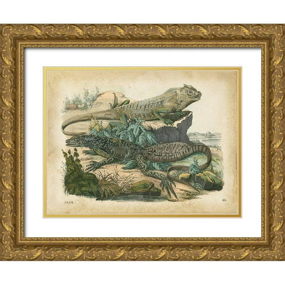 Wiek, John 14x12 Gold Ornate Wood Framed with Double Matting Museum Art Print Titled - Natures Gathering VI