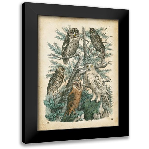 Wiek, John 15x18 Black Modern Framed Museum Art Print Titled - Natures Gathering III