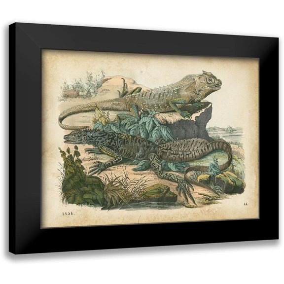 Wiek, John 18x15 Black Modern Framed Museum Art Print Titled - Natures Gathering VI
