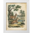 thumbnail image 1 of Wiek, John 25x32 White Modern Wood Framed Museum Art Print Titled - Natures Gathering IV, 1 of 4
