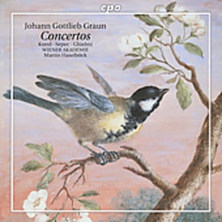 Wiener Akademie Orchester - Concertos - Music & Performance - CD
