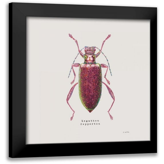 Wiens, James 12x12 Black Modern Framed Museum Art Print Titled - Adorning Coleoptera VI Sq Claret