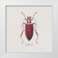 thumbnail image 1 of Wiens, James 12x12 White Modern Wood Framed Museum Art Print Titled - Adorning Coleoptera VI Sq Claret, 1 of 4
