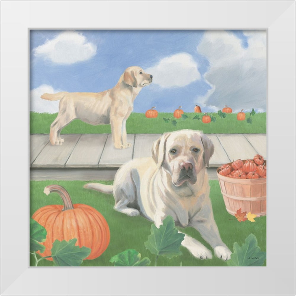James Wiens Fall at the Farm II White Framed Canvas Art