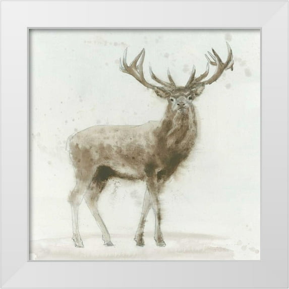 Wiens, James 26x26 White Modern Wood Framed Museum Art Print Titled - Stag v.2