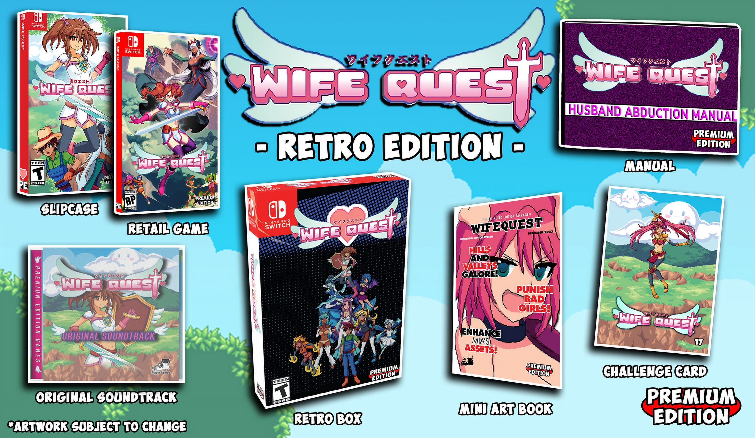 Wife Quest - Retro Edition [Nintendo Switch] - Walmart Business