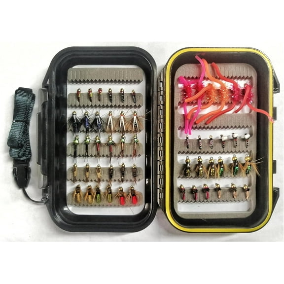 Wifreo Fly Fishing 54 Nymph Flies Assortment BH Wet Fly for Trout Flyfishing with Waterproof Fly Box