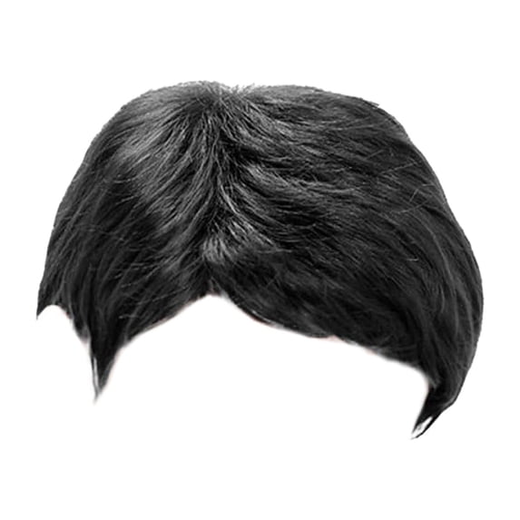 Product Category Wig | 25cm Short Straight Men's Slanted Style Full Head Cover Europe US Fashion Fiber Hairpiece