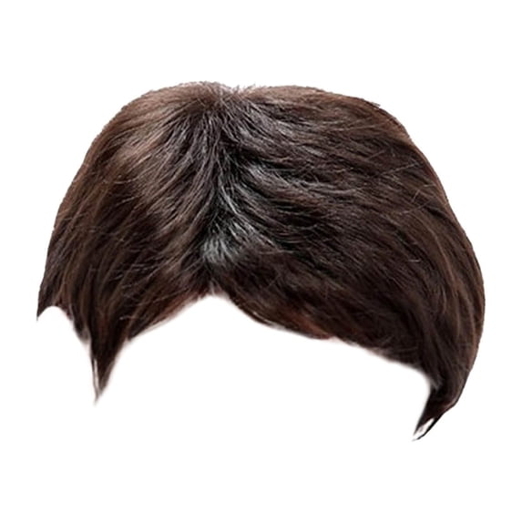 Wig For Men Short Straight 25cm European And Fashion Hairpiece Full Head Coverage Slanting Handsome Style Synthetic Fiber Wig