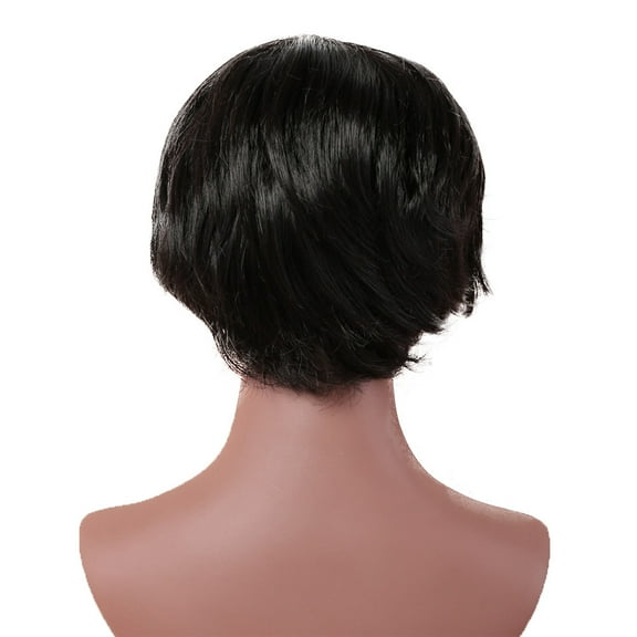 Wigs Black Female Short Curly Hair Wig Women's Hairpiece Wigs 30cm Africa Wigs(2Pack)
