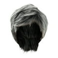 thumbnail image 1 of Wigs Human Hair Wigs for Women Short Mixed Wig Short Slight Curly Heat Wigs Middle And Elderly Wig Head Cover Cut Wigs Short Stylish Layer Wig Grayish White Clearance, 1 of 7