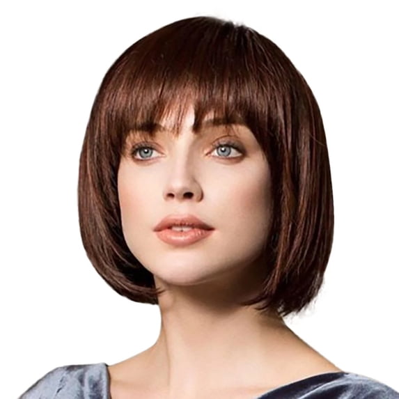 Wigs for Women Human Hair Brazilian Women's Wig, Black Fiber High Temperature African False Head Cover, Glueless Lace Front Human Straight Hair, Deep Brown Color Makeup Organizers