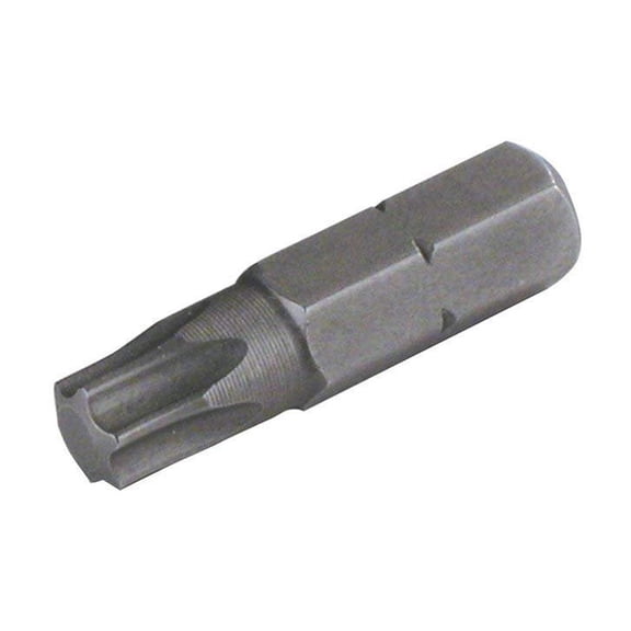 Torx T25 Bit