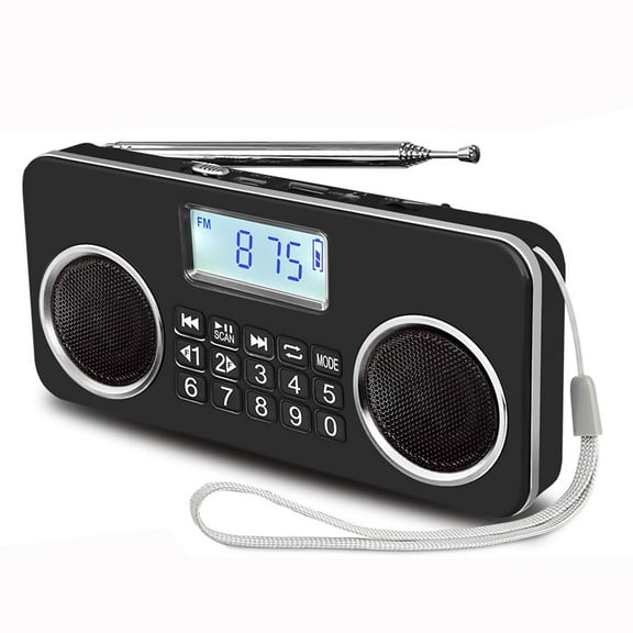 Wiher Portable FM Radio with Bluetooth, MP3 Player, TF/USB Playback & 10 Presets, Rechargeable Battery, 5W Stereo Sound for Home, Travel, and Outdoor Use Black