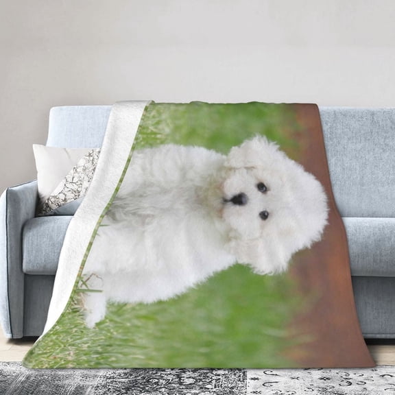 Wijzvio Bichon Frise Dog Throw Blanket Soft Fuzzy Fleece Blanket For Couch Bed Living Room Decoration 80"X60"
