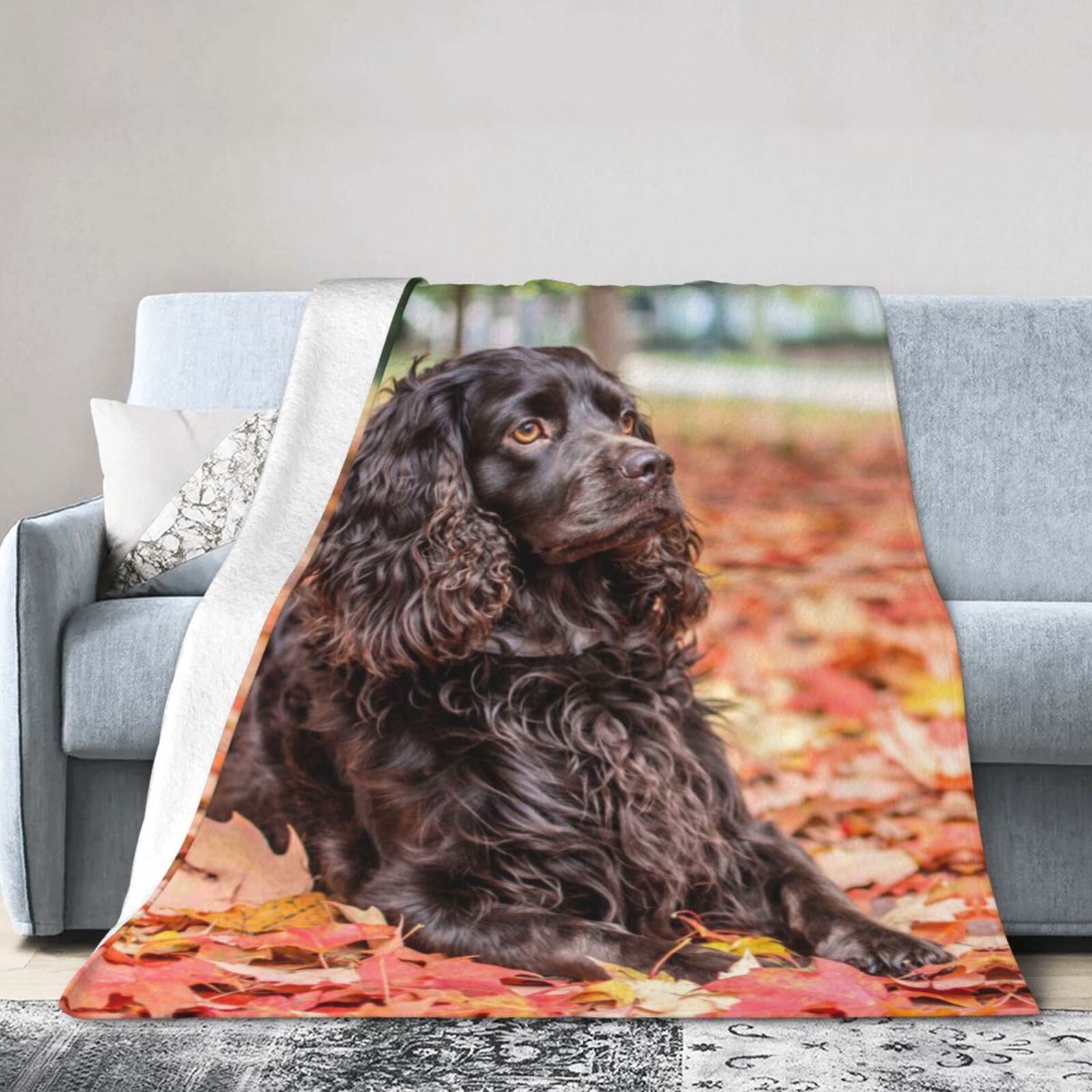 Wijzvio Boykin Spaniel Dog Throw Blanket Soft Fuzzy Fleece Blanket For Couch Bed Living Room Decoration 50"X40"