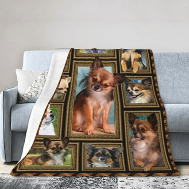 Wijzvio Chihuahua Dog Throw Blanket Soft Fuzzy Fleece Blanket For Couch Bed Living Room Decoration 40"X30"